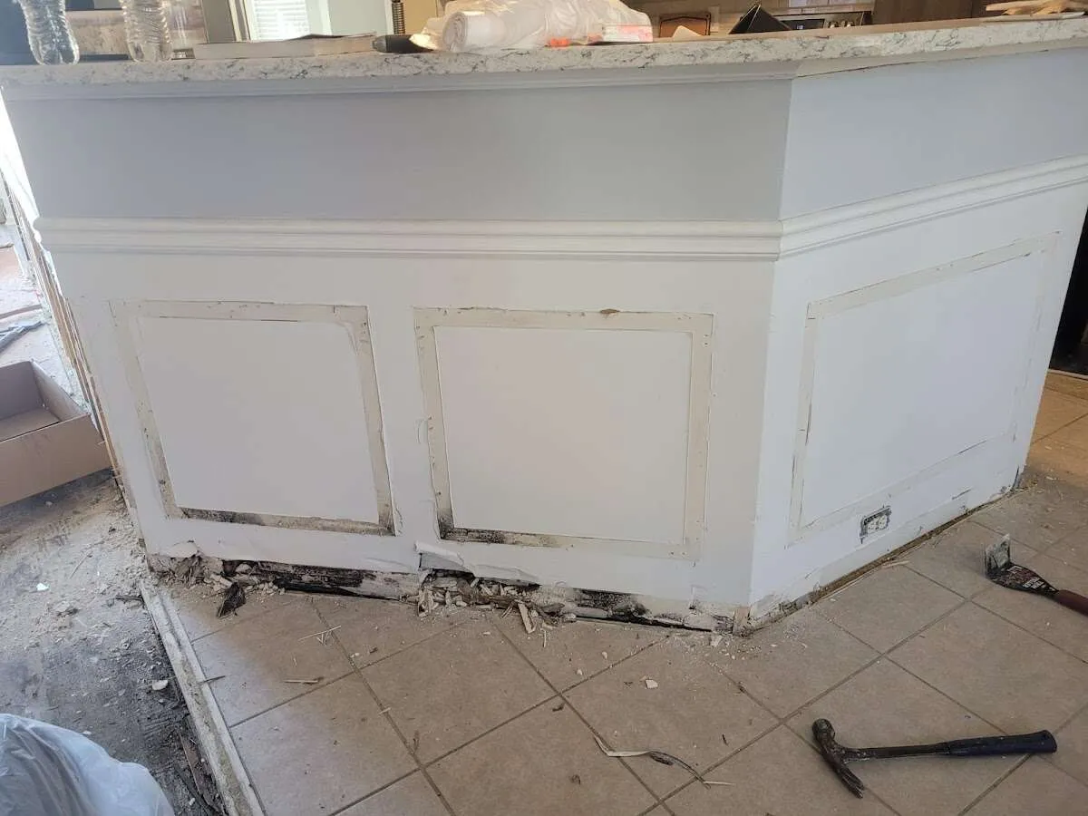 Water damage and mold on kitchen during Mold Inspection & Testing in Garden City
